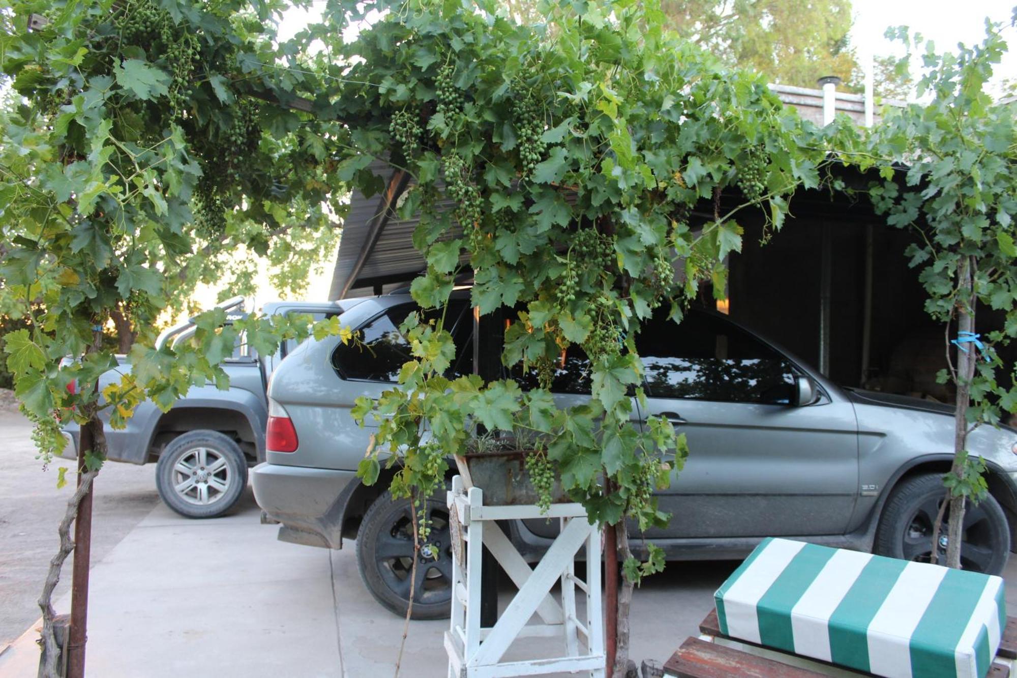 Finca La Celestita Colonia Alvear Exterior photo