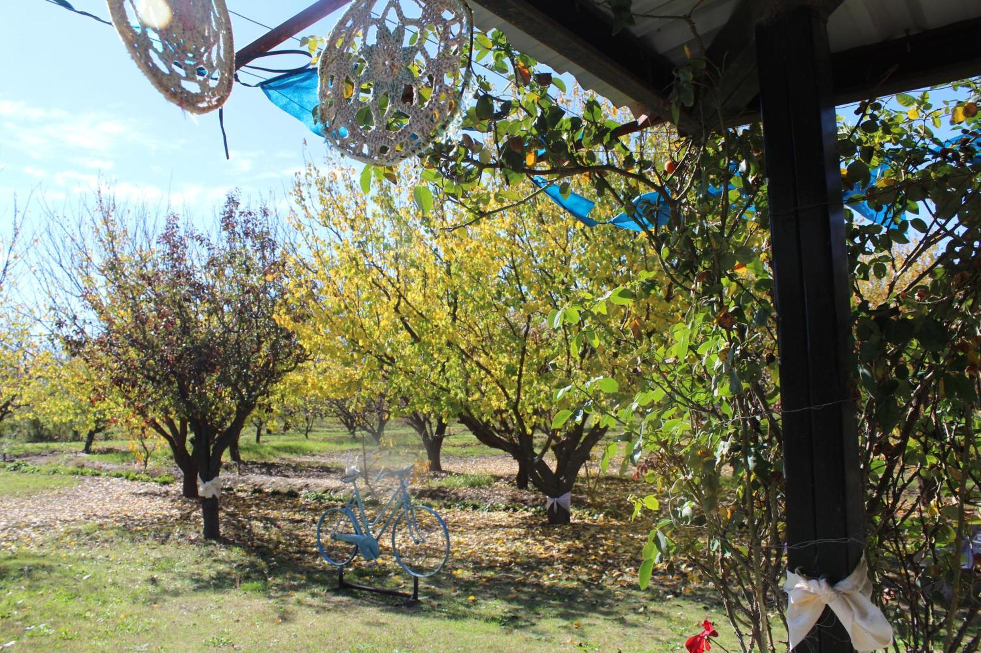 Finca La Celestita Colonia Alvear Exterior photo